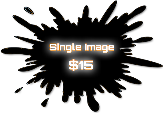Single Image Price $15.00